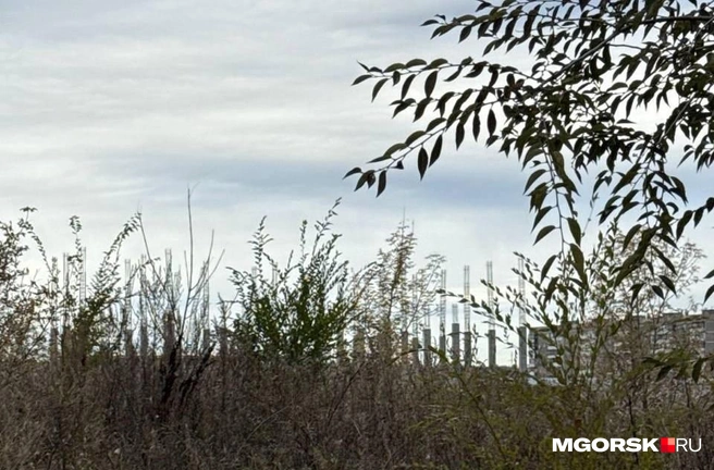Спорткомплекс возводят в новом микрорайоне  | Источник: читатель MGORSK.RU 