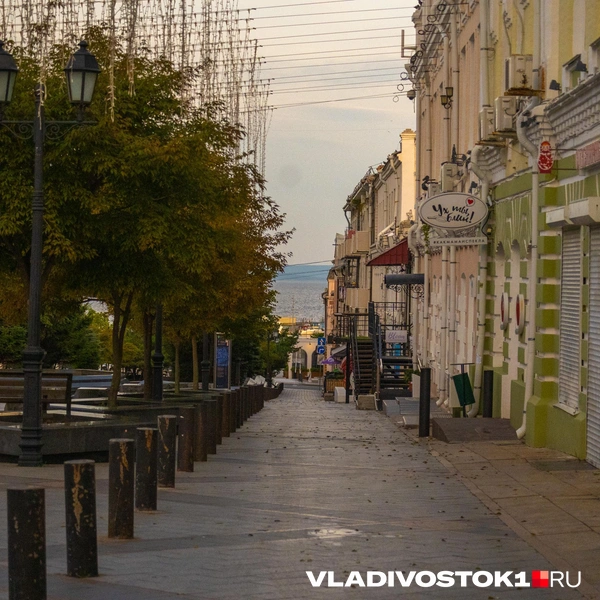Источник: Елена Буйвол / VLADIVOSTOK1.RU
