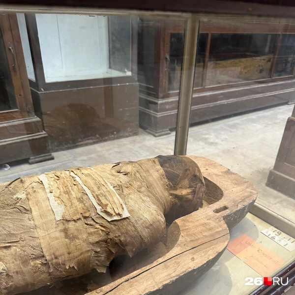 Источник: Габриелла Захарова / 26.RU