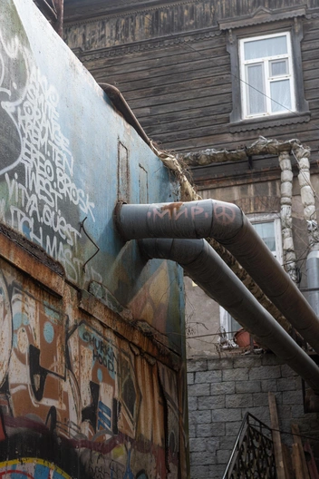 Источник: Елена Буйвол / VLADIVOSTOK1.RU