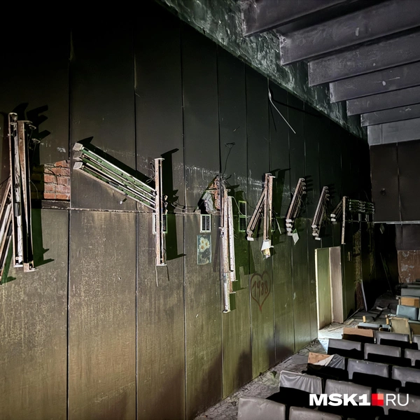 Источник: Алина Мельникова / MSK1.RU