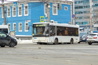 Самарский перевозчик подвел итоги и назвал 6 успехов