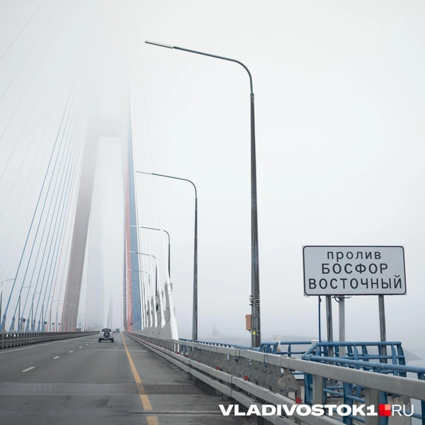 Источник: Елена Буйвол / VLADIVOSTOK1.RU