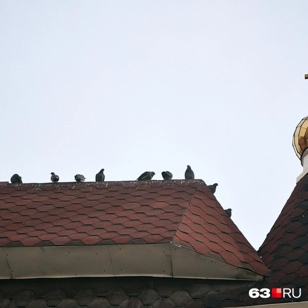 Источник: Роман Данилкин / 63.RU