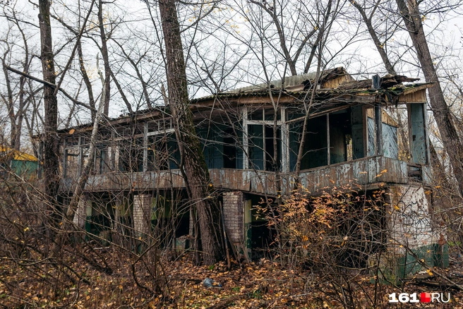 Источник: Евгений Вдовин / 161.RU