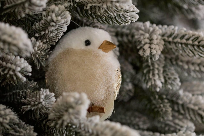 Новогоднее настроение | Источник: «Дружба»