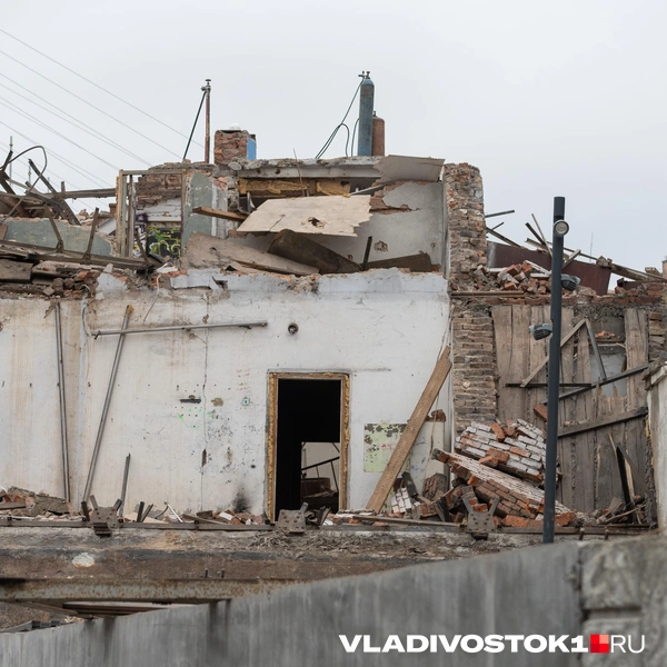 Источник: Елена Буйвол / VLADIVOSTOK1.RU