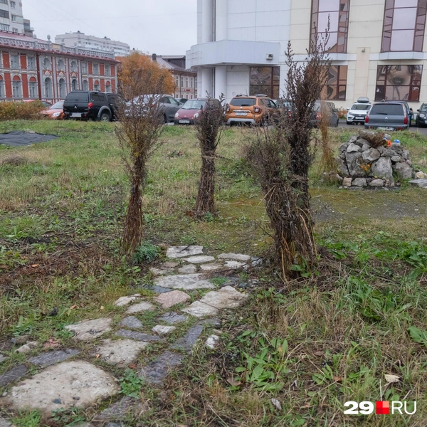 Источник: Иван Митюшёв / 29.RU 