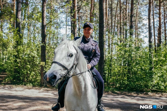 Прикольные афоризмы на все случаи жизни