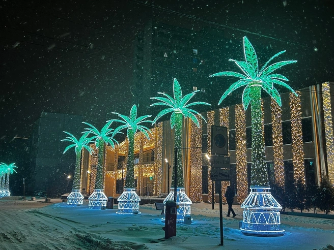 Пальмы точно победители в народном голосовании&nbsp;— о них шумит город | Источник: «Тольятти» / vk.com