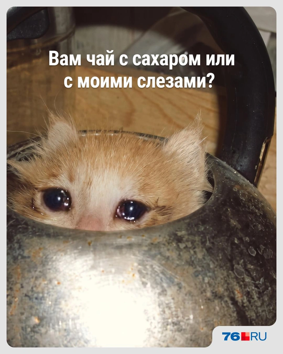 Вы знаете, кому и когда отправить эту картинку | Источник: Городские медиа