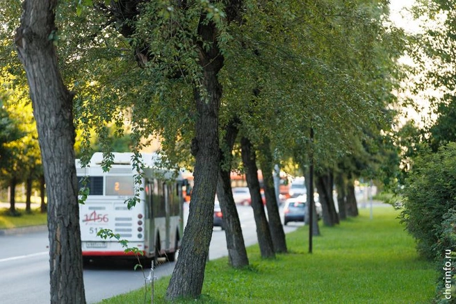 Источник: st.cherinfo.ru