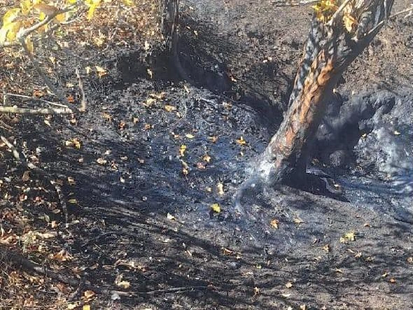 Моторное масло, используемое в качестве приманки, представляет двойную опасность: загрязняет почву и увеличивает риск возгорания. | Источник: читатель 161.RU 
