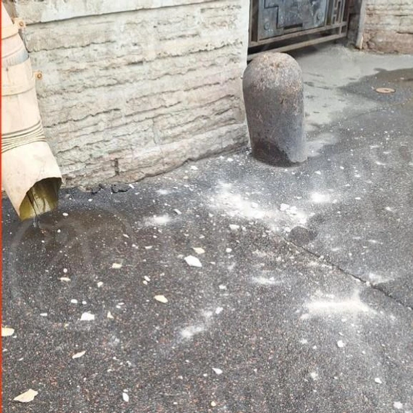 Источник: читатель «Фонтанки» 