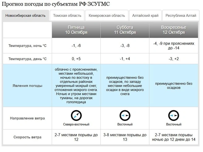 Порывы ветра могут достигать 14 м/с | Источник: «Западно-Сибирское УГМС»