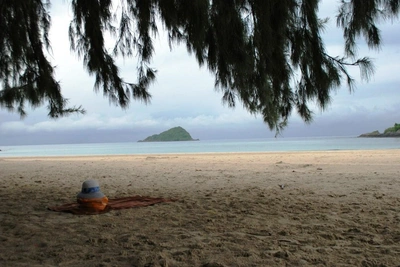 Six countries to avoid due to incurable Nipah virus