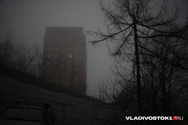 Источник: Елена Буйвол / VLADIVOSTOK1.RU