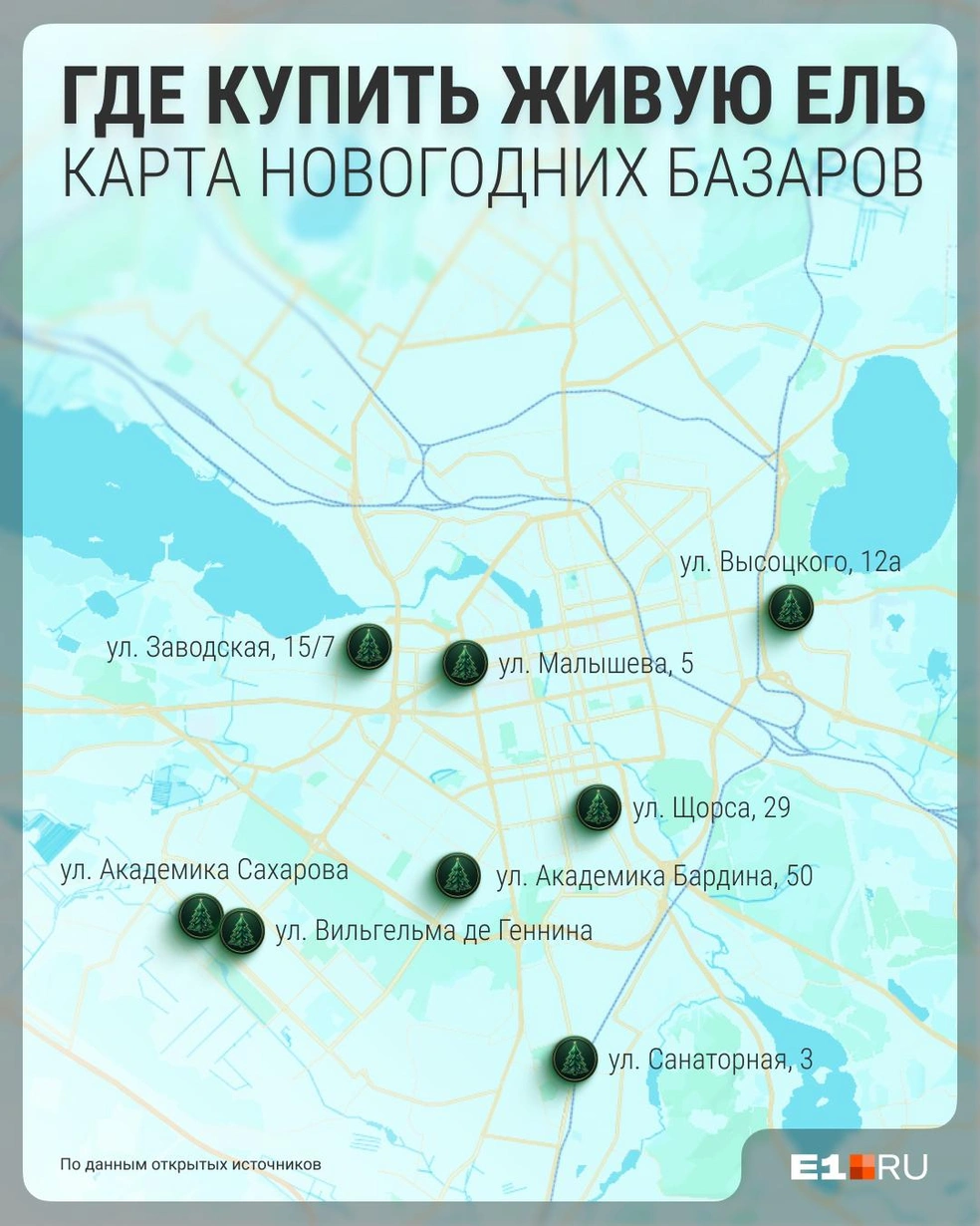 Планируете покупать елку на Новый год?  | Источник: Филипп Сапегин / E1.RU