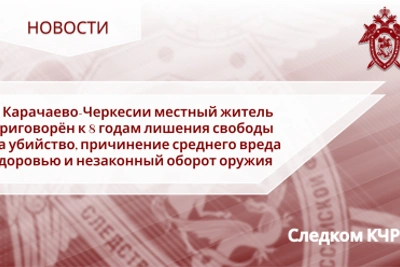 Житель КЧР осуждён на 8 лет за убийство и незаконный оборот оружия