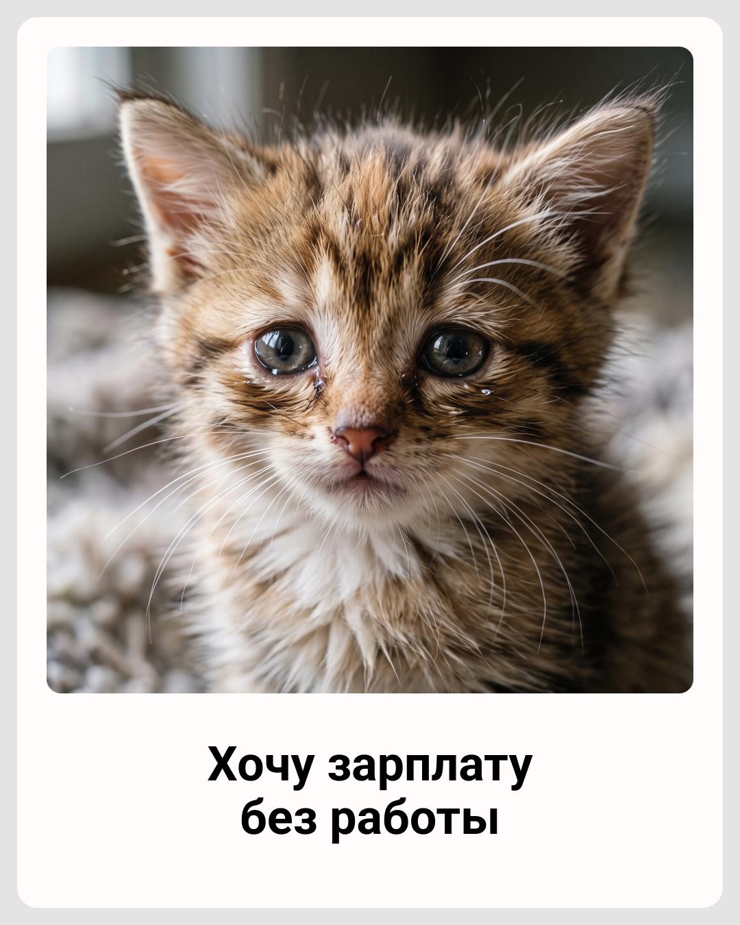 Очень жизненно! Лучшие шутки и мемы про работу