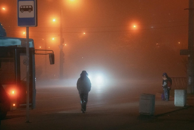 Предупреждение касается Барнаула, а также северных и восточных территорий края | Источник: Иван Митюшёв / 29.RU