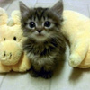 userpic__01008m