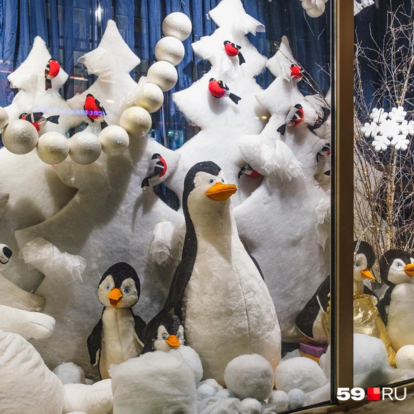 Источник: Тимофей Калмаков / 59.RU