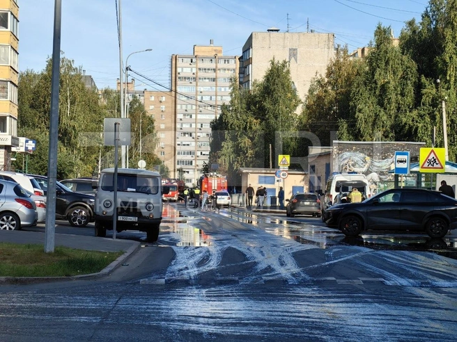 Источник: 72.RU