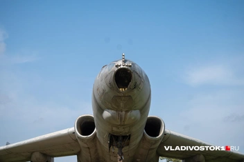 Источник: Елена Буйвол / VLADIVOSTOK1.RU
