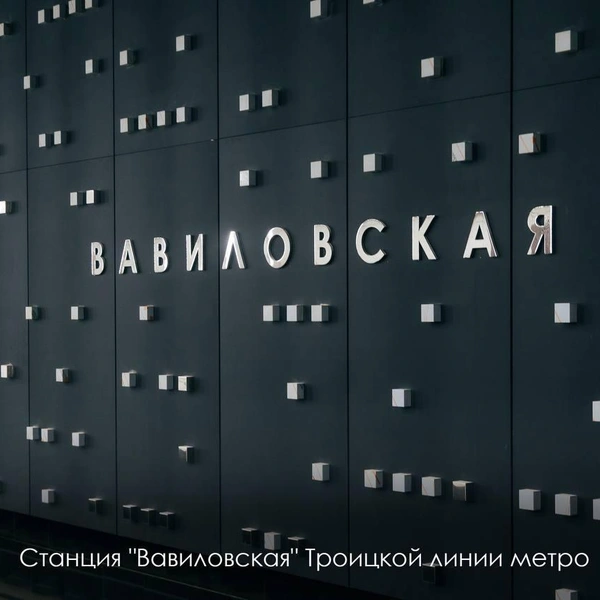 Как будут выглядеть станции, которые, по словам властей, откроются уже осенью 2025-го | Источник: Мэр Москвы Сергей Собянин / T.me