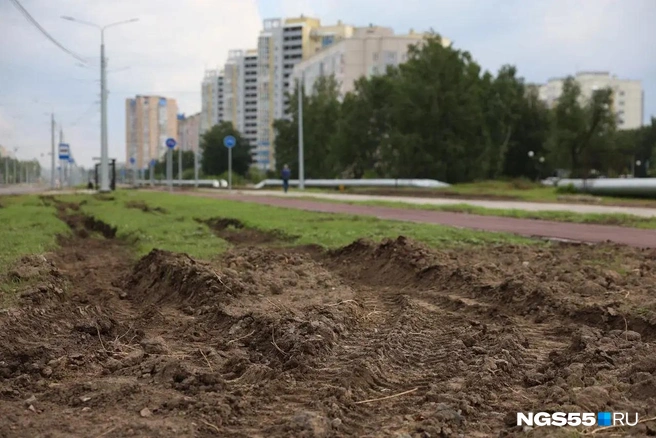 Кто-то уже забуксовал на новом газоне | Источник: Евгений Софийчук / NGS55.RU