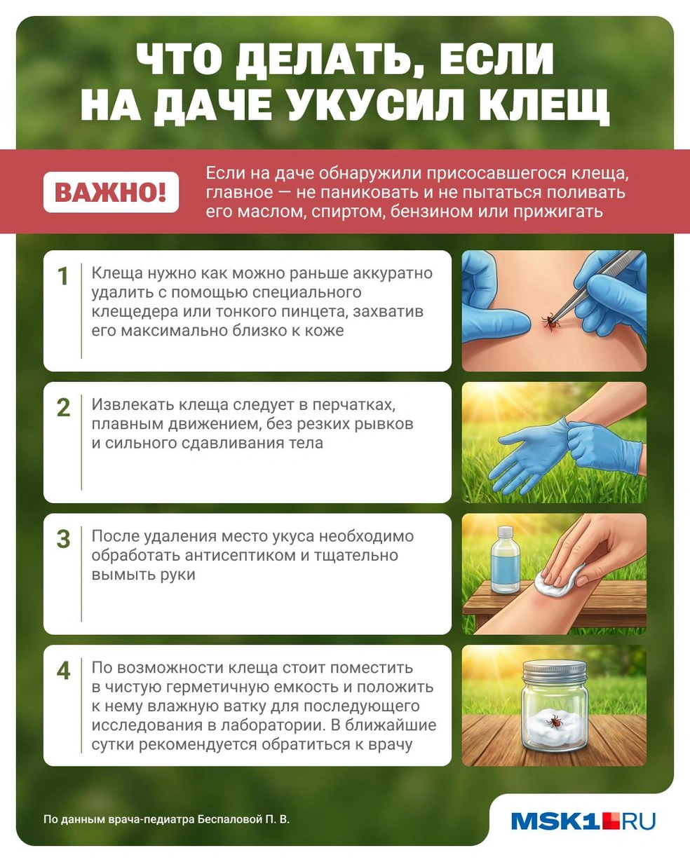 Источник: Юрий Скулыбердин / Городские медиа