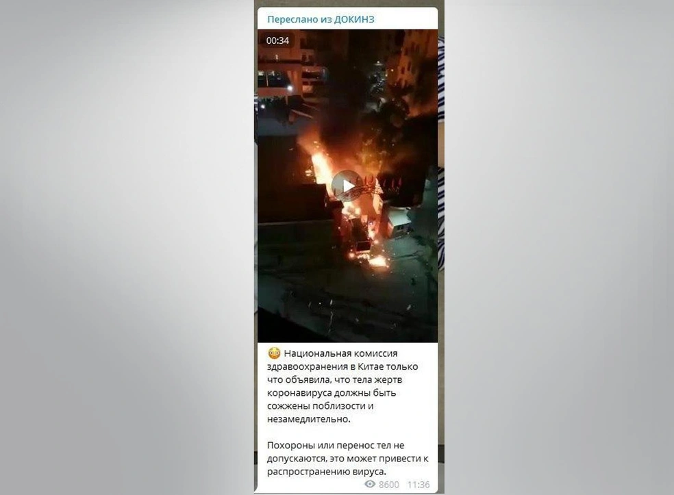 Коронавирус на подступах. Чем нас пугает Интернет и сколько в этом правды? (фото) | Источник: скриншот телеграм-канала ДОКИНЗ