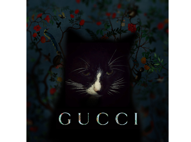 Райские птицы и цветы в новом проекте бренда Gucci
