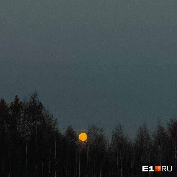 Источник: читатель E1.RU