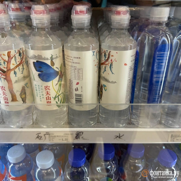 Источник: Милена Солдатенко / «Фонтанка.ру»