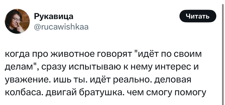 Источник: X (Twitter)