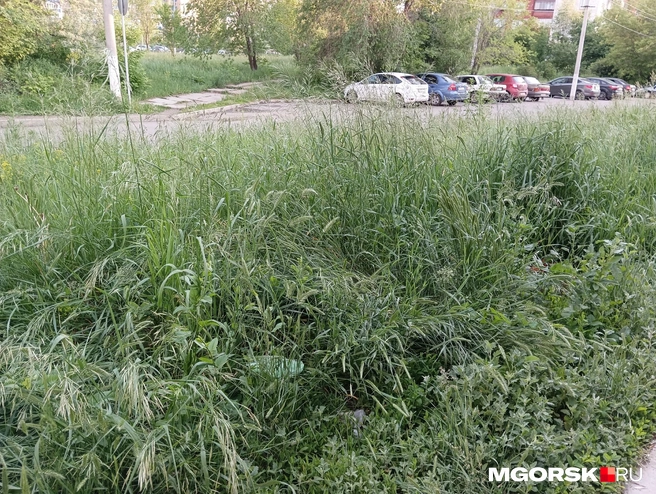 Вид на противоположную сторону улицы | Источник: Полина Котышева / MGORSK.RU