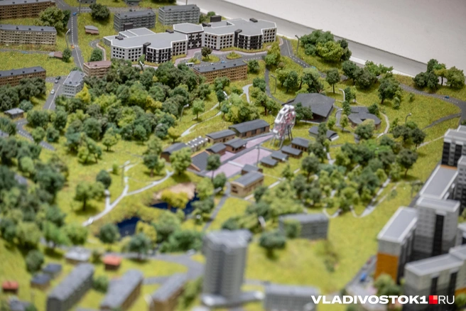 Источник: Елена Буйвол / VLADIVOSTOK1.RU