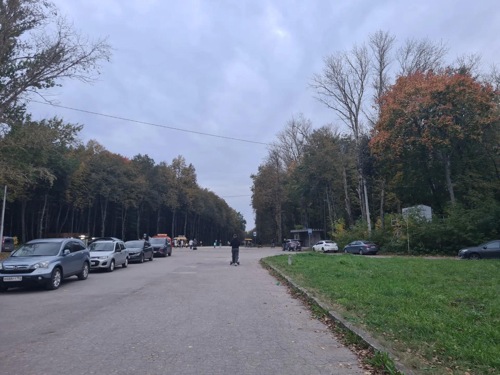 Синоптики рассказали, какой будет погода в Рязанской области 4 октября