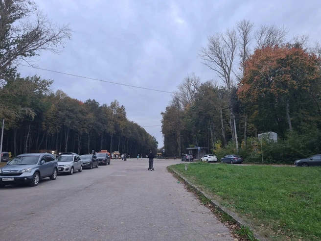 Осадков не будет, но возможны заморозки | Источник: Светлана Коновалова / YA62.RU