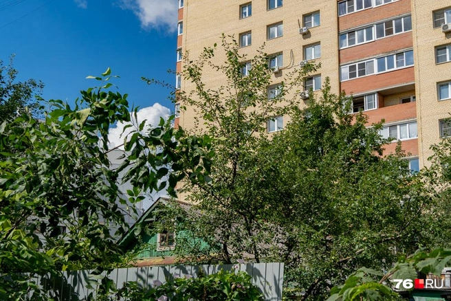 Многоэтажки не скрыть листвой деревьев | Источник: Кирилл Поверинов / 76.RU