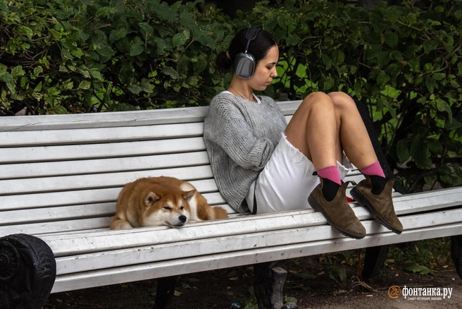 Парковое настроение | Источник: Михаил Огнев / FONTANKA.RU