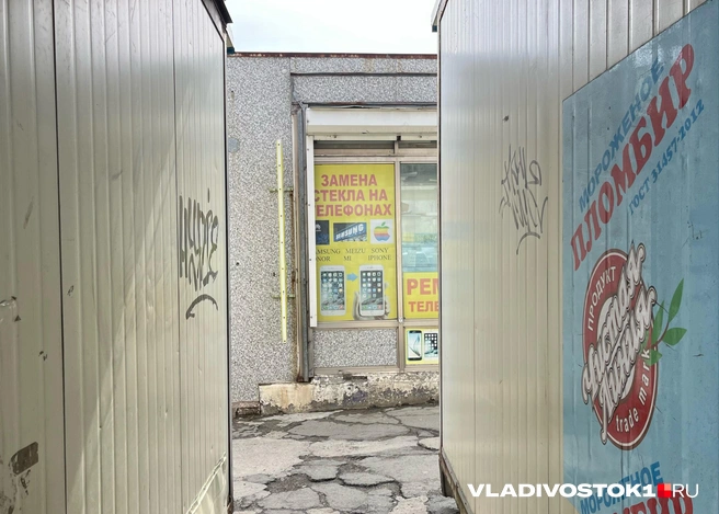 Источник: Елена Буйвол / VLADIVOSTOK1.RU