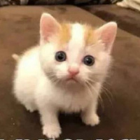 Аватарка Лера Лукиенко