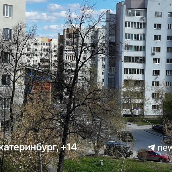 В Екатеринбурге +14 градусов | Источник: Городские медиа