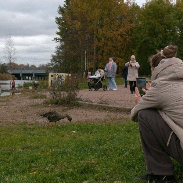 Источник: Павел Глазков / «Каждой твари по паре»