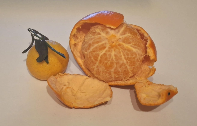 Для выпечки подойдут любые мандарины | Источник: Алёна Воропаева / Voronezh1.ru