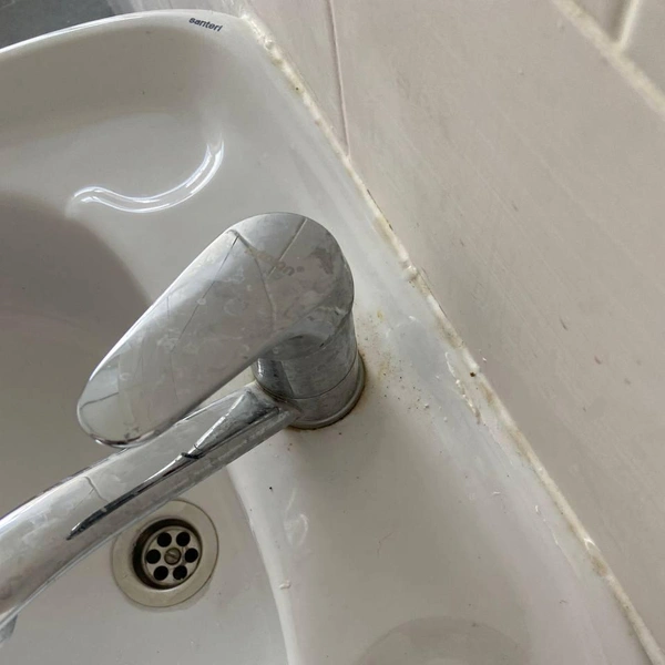 Антисанитария | Источник: Личный архив Наиры Адикян