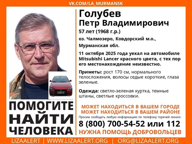 Источник: Поисковый отряд «ЛизаАлерт» Мурманской области / Vk.com